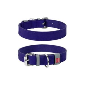 Collare in pelle - WAUDOG