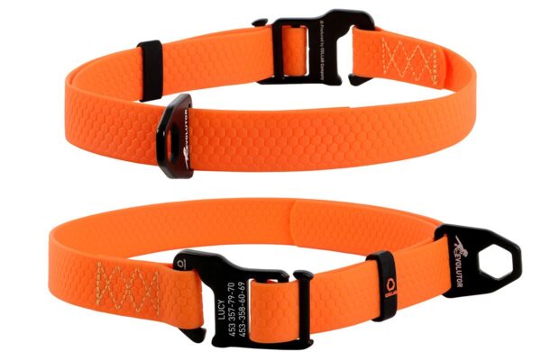 Collare EVOLUTOR - Collar - immagine 2