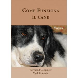 Come funziona il Cane - Haqihana