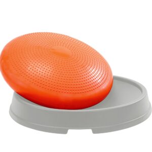 Disco propriocettivo grande con base