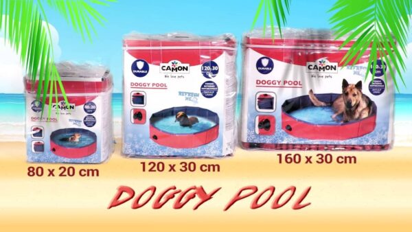 Piscina per cani - CAMON - immagine 2