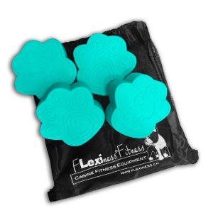 ToyPawDiscs (Set of 4) - Flexiness®