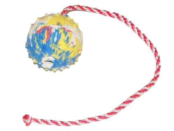 Palla Grande cava con corda 40 cm - GAPPAY