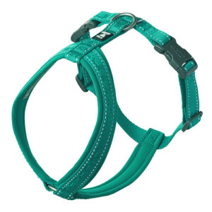 PETTORINA CASUAL Y ECO PEACOCK - Hurtta