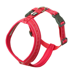 PETTORINA CASUAL Y ECO RUBY - Hurtta