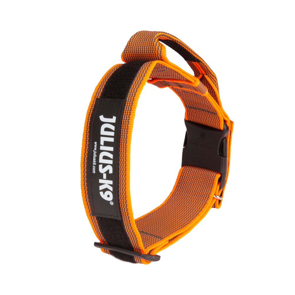 Collare IDC ® Color&Gray ®con maniglia arancio - Julius k9 - immagine 2