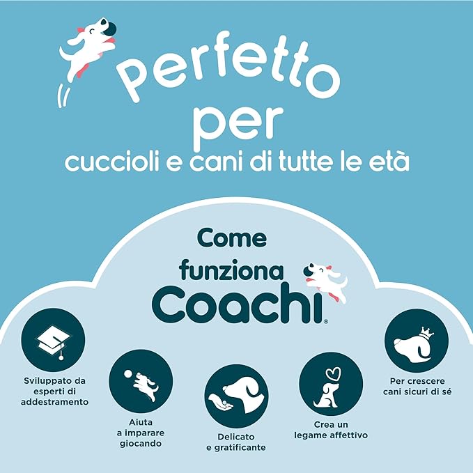 Target Stick - Coachi - immagine 3