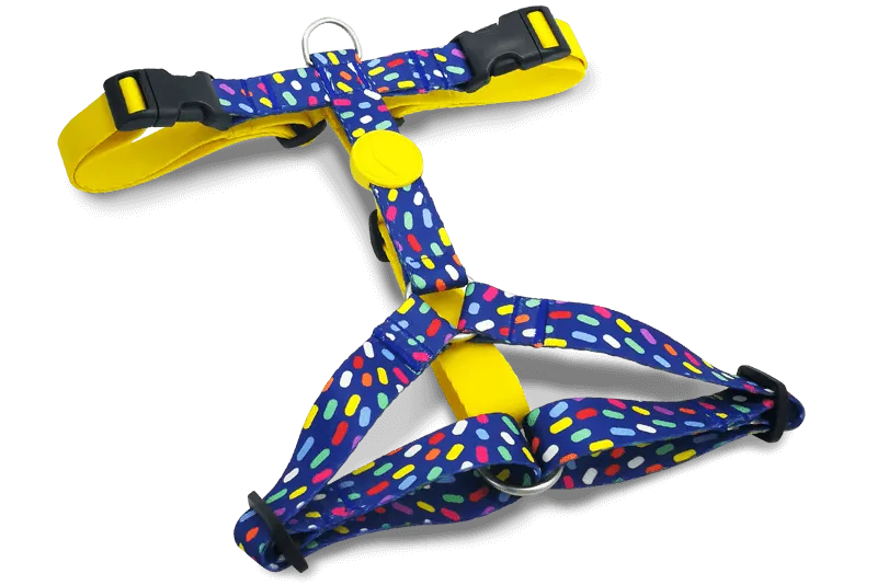 Pettorina H COLOR INVADERS - Morso