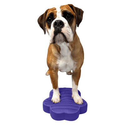 Pedana Gonfiabile per Propriocezione, Equilibrio e Fitness del Cane PawDisc Viola - Flexiness® - immagine 2
