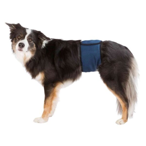 Fascia igienica per cani maschi, lavabile - TRIXIE