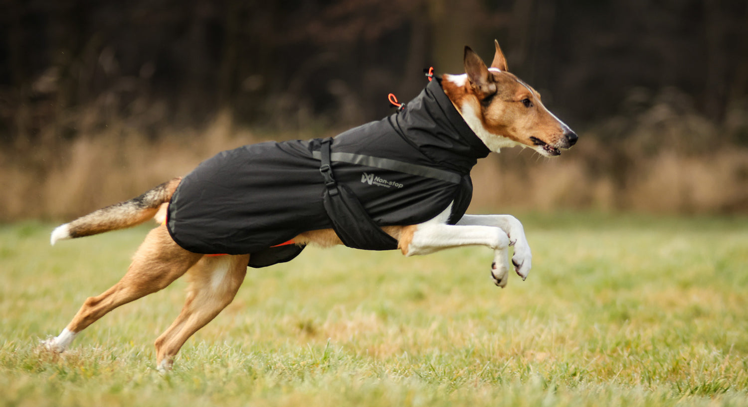 TREKKING INSULATED DOG JACKET – Non-stop dogwear - immagine 6