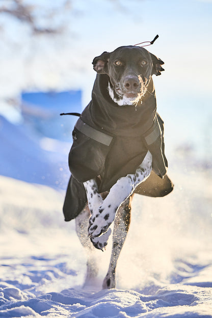 TREKKING INSULATED DOG JACKET – Non-stop dogwear - immagine 7