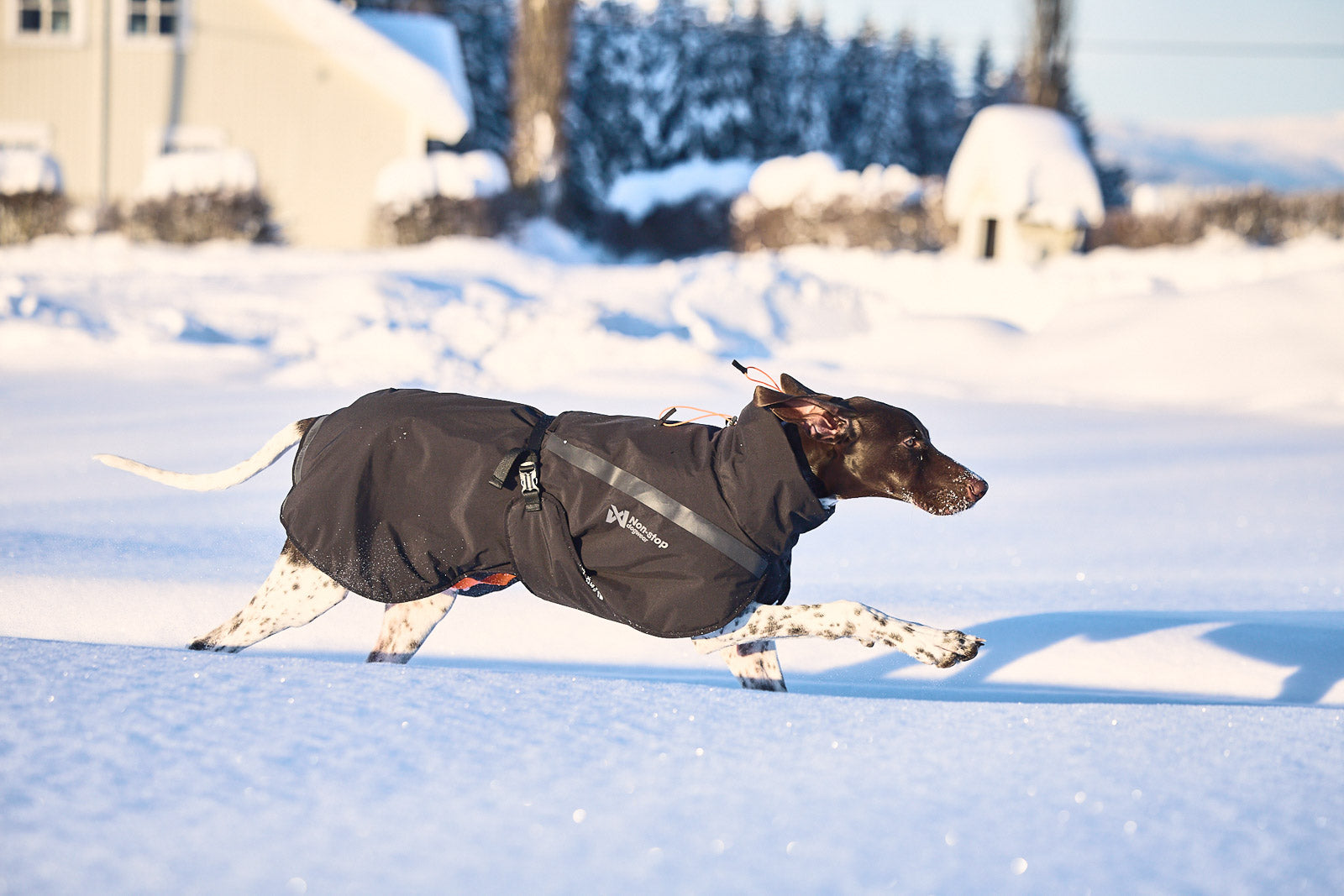 TREKKING INSULATED DOG JACKET – Non-stop dogwear - immagine 8