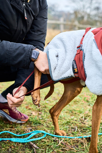 GIACCA PER CANI IN PILE DA TREKKING - Non-stop dogwear - immagine 3