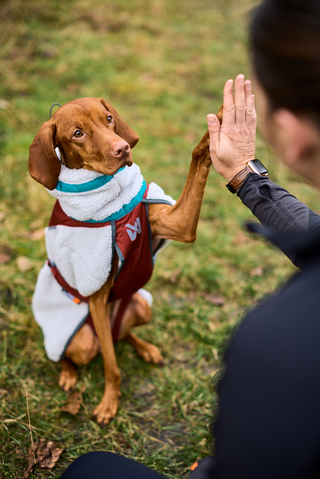 GIACCA PER CANI IN PILE DA TREKKING - Non-stop dogwear - immagine 5