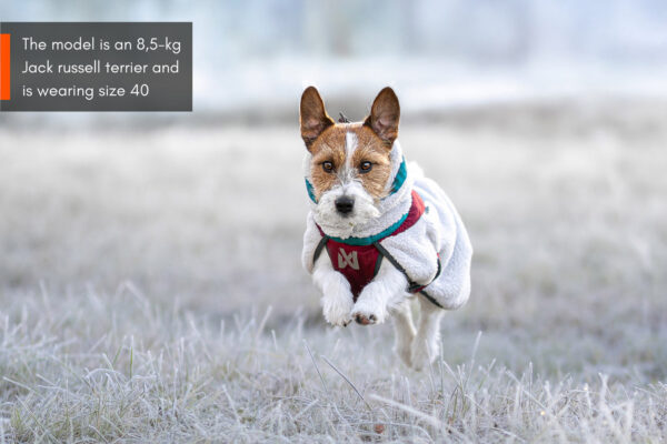 GIACCA PER CANI IN PILE DA TREKKING - Non-stop dogwear - immagine 6