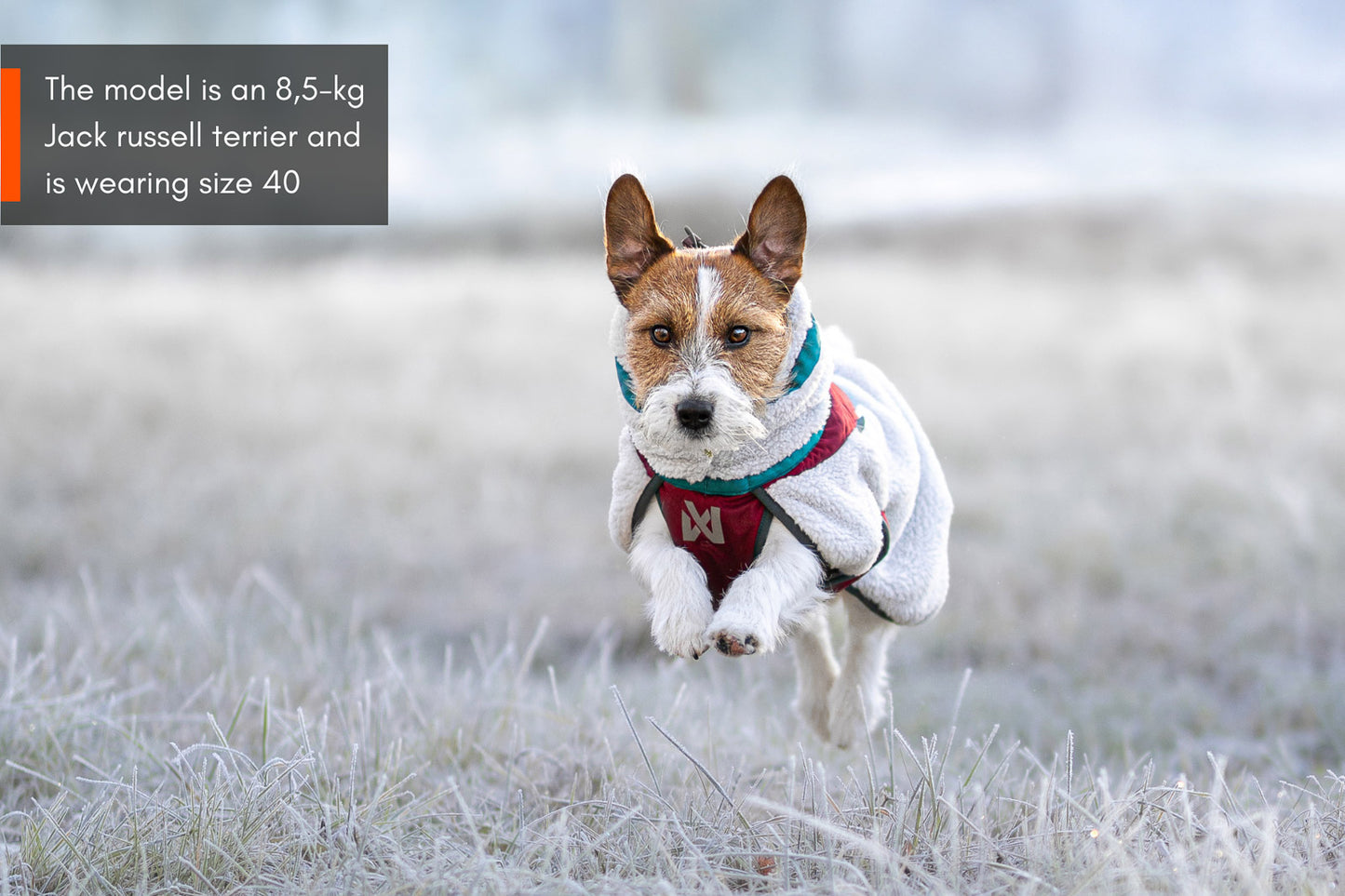 GIACCA PER CANI IN PILE DA TREKKING - Non-stop dogwear - immagine 6
