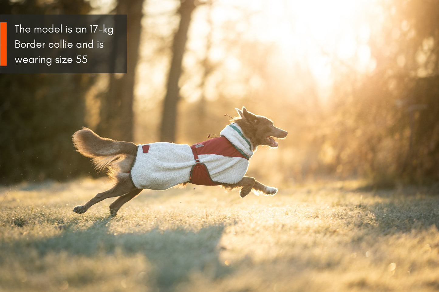 GIACCA PER CANI IN PILE DA TREKKING - Non-stop dogwear - immagine 7