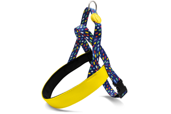 Pettorina norvegese COLOR INVADERS - MORSO