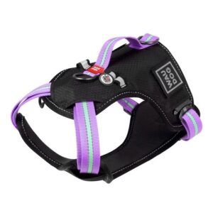 Pettorina Nylon Nero-Lilla - WAUDOG