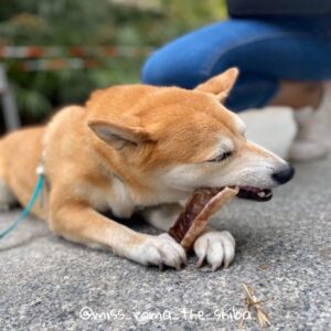 Trachea di Wagyu disidratata 6 metà - Altudog