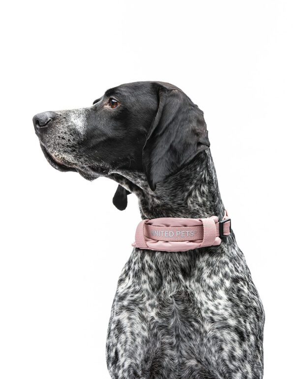 CityLife - Collare Soft Rosa - UNITED PETS - immagine 3