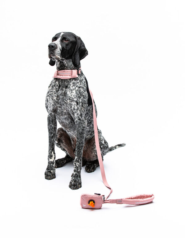 CityLife - Collare Soft Rosa - UNITED PETS - immagine 4