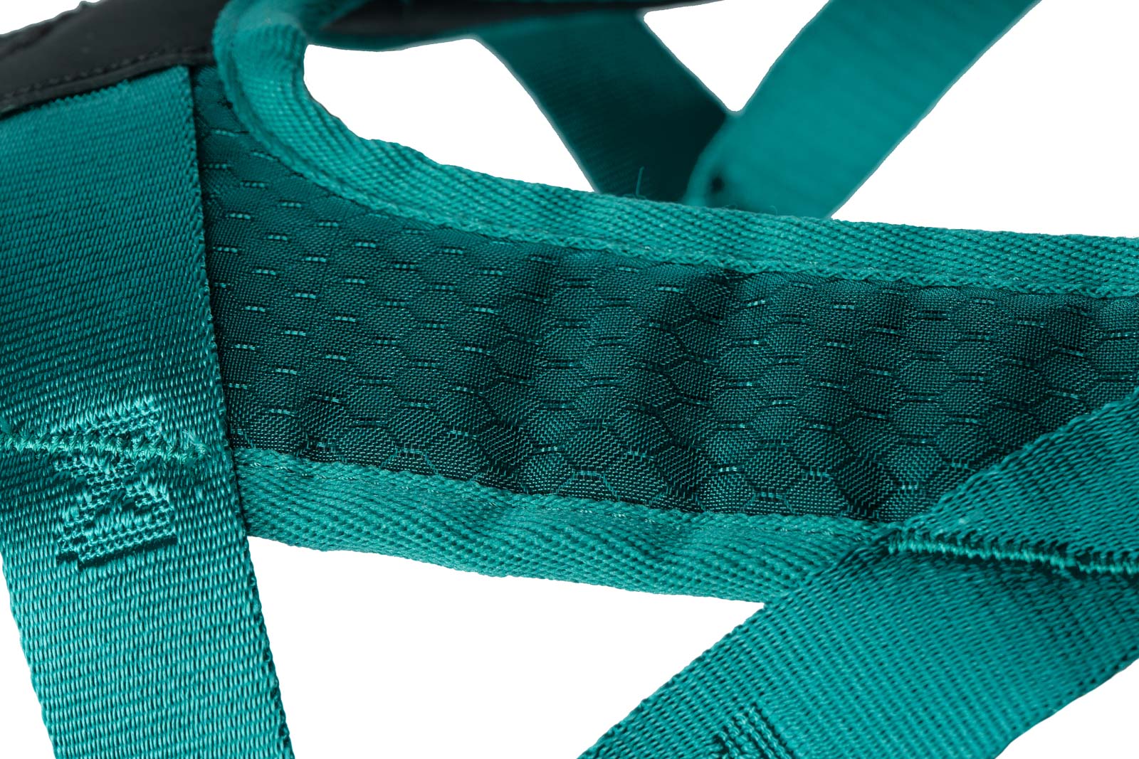Rush harness Teal - Non-stop dogwear - immagine 5