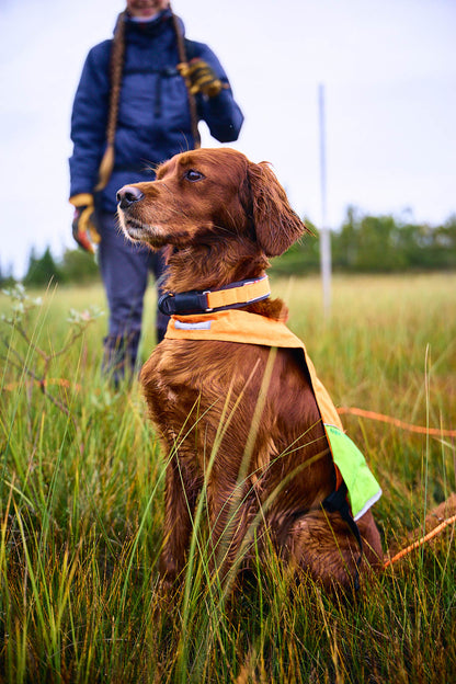 Protector collar - Non-stop dogwear - immagine 4