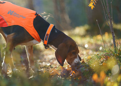 Protector collar - Non-stop dogwear - immagine 8