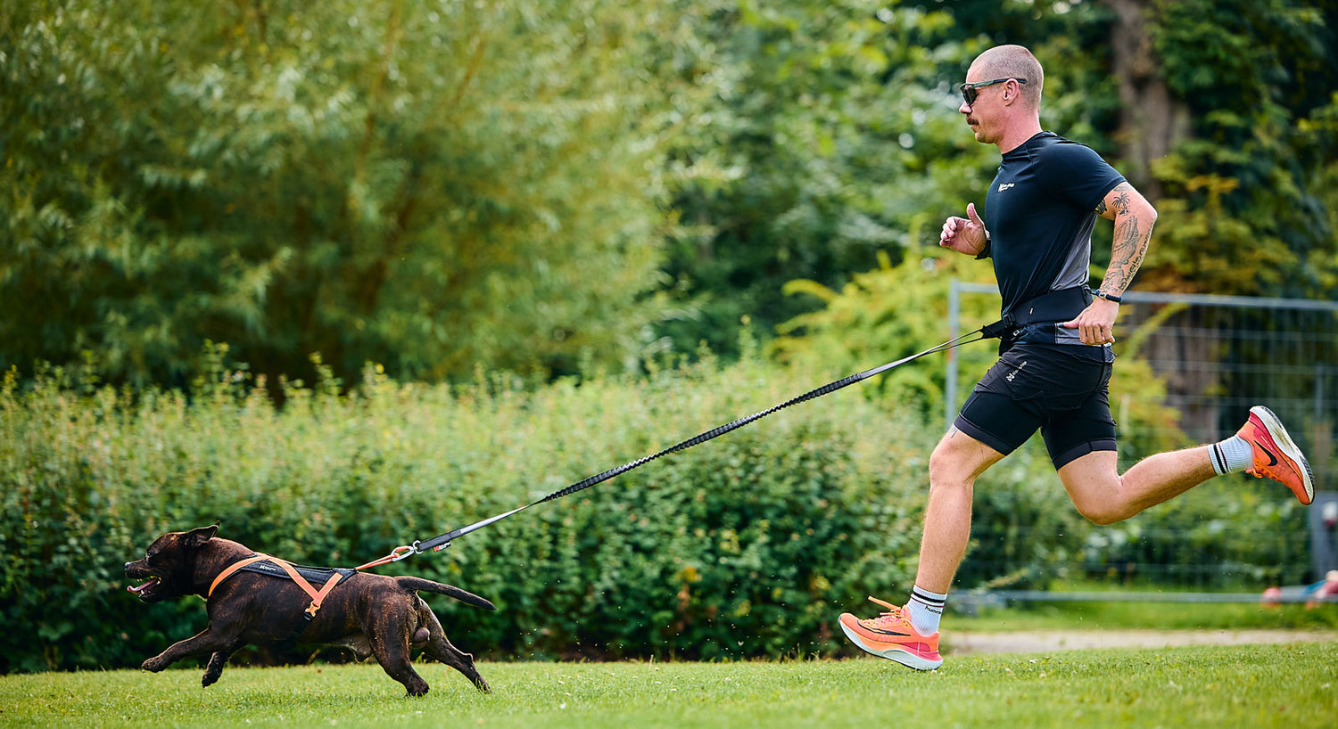 Rush harness Black/orange - Non-stop dogwear - immagine 6