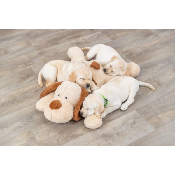 Cane da coccolare Benny - TRIXIE - immagine 3