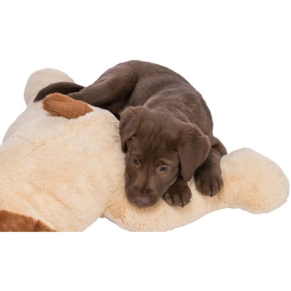 Cane da coccolare Benny - TRIXIE - immagine 4