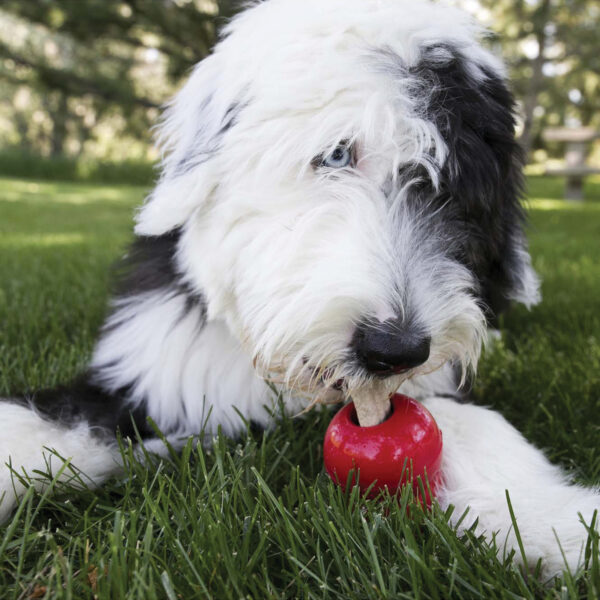 Ziggies per cuccioli - KONG - immagine 3
