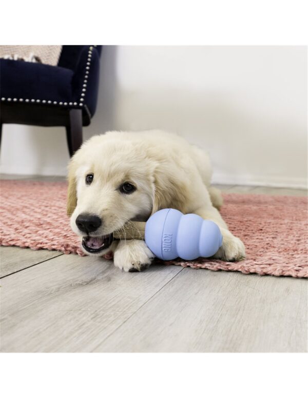 Ziggies per cuccioli - KONG - immagine 4