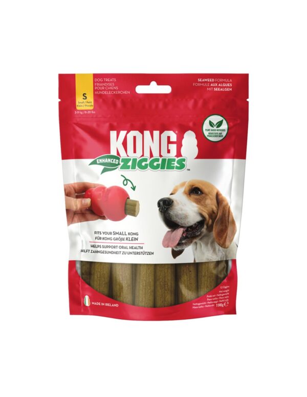 Ziggies - KONG