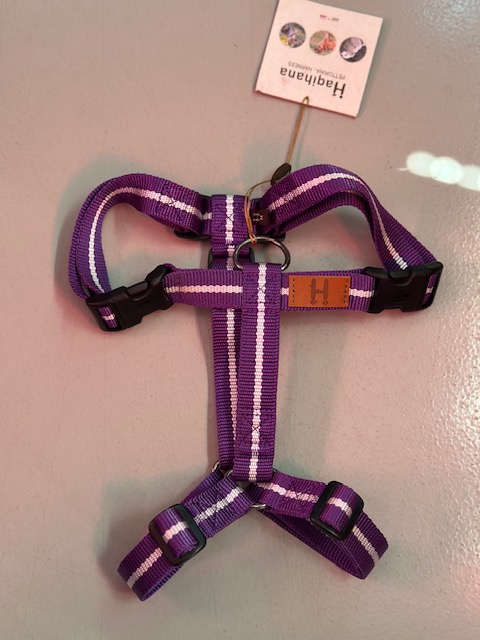 Pettorina ad H Secret - edizione limitata - Haqihana