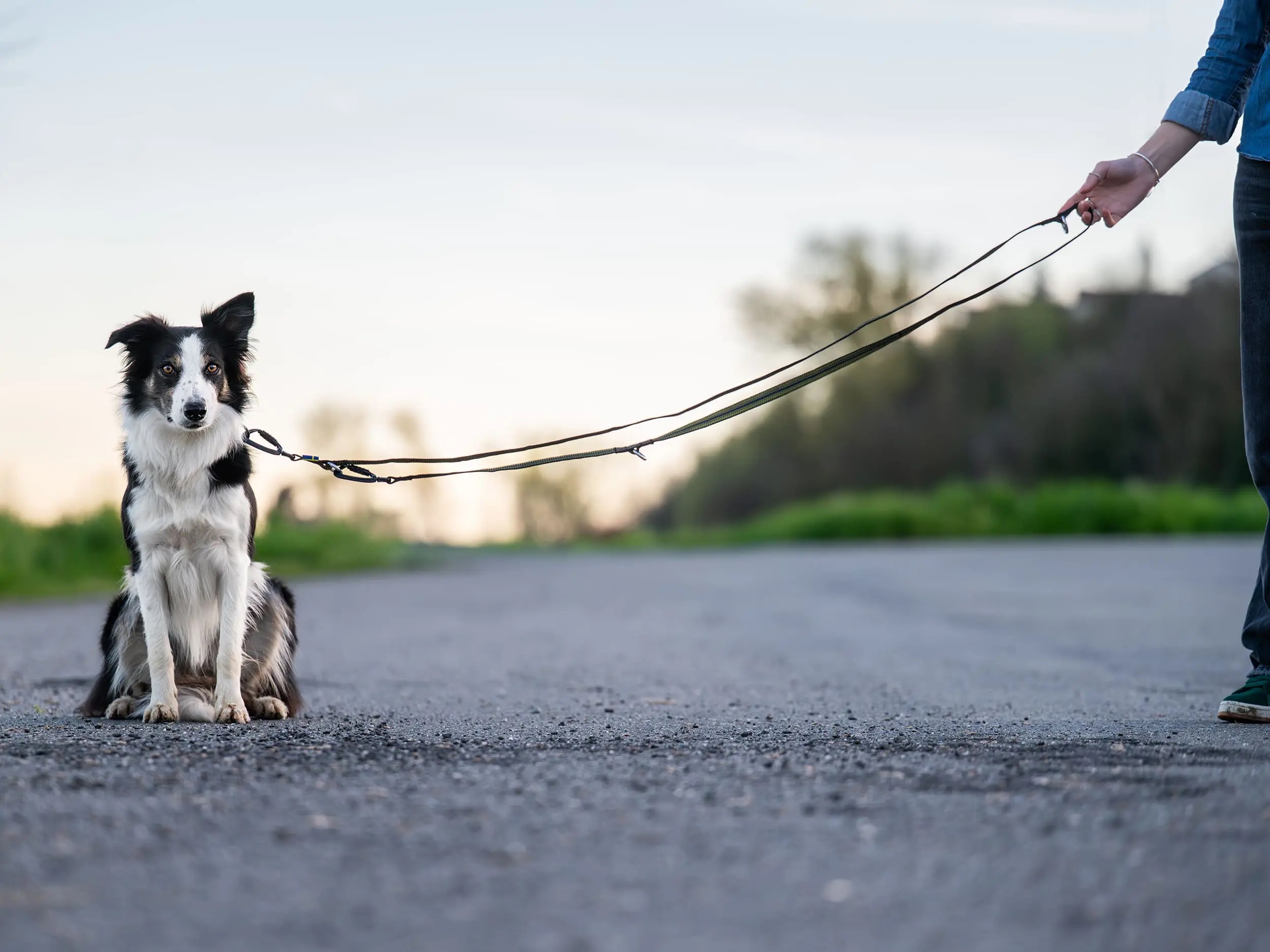 Guinzaglio Regolabile Grip - AXAECO - immagine 3