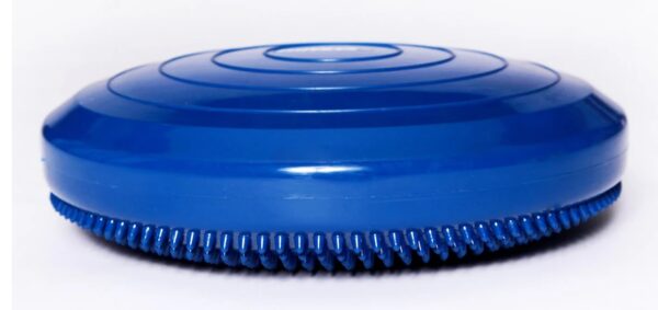 Balance Disc Blue Medio 45,7 cm- FitPAWS - immagine 2