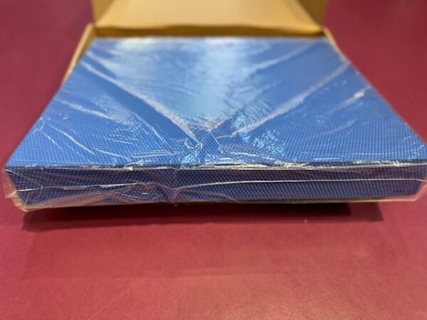 Pad propriocettivo grande Blu