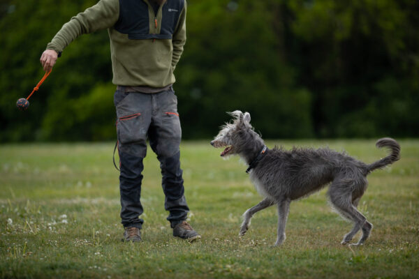 Dog ball on rope - Non-stop dogwear - immagine 4