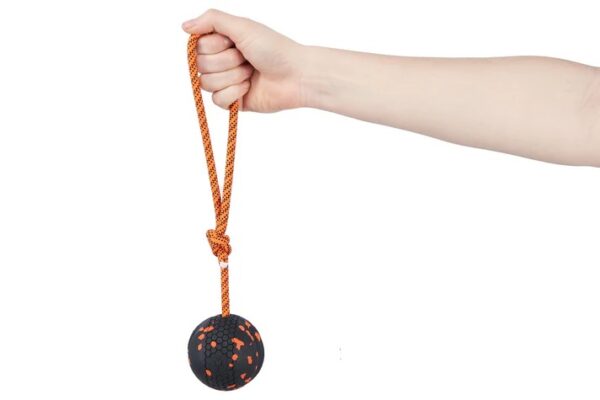 Dog ball on rope - Non-stop dogwear