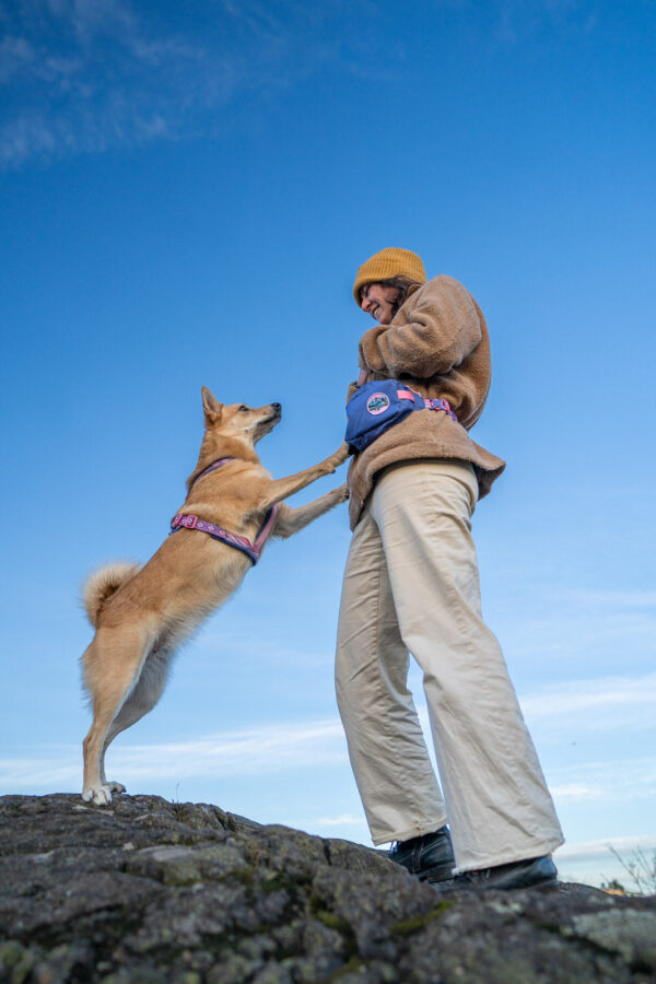 Marsupio Trail Quest edizione Rachel Pohl - Non-stop dogwear - immagine 9