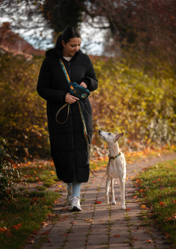 Marsupio Trail Quest edizione Rachel Pohl - Non-stop dogwear - immagine 10