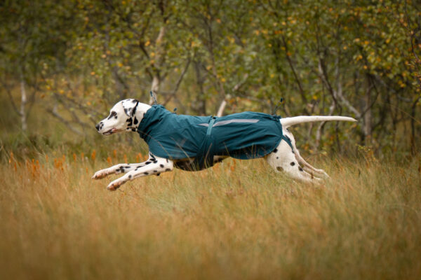Fjord lined raincoat, cappotto impermeabile - Non-stop dogwear - immagine 5