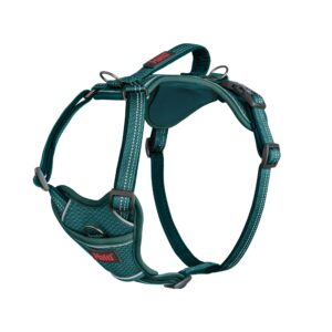 Pettorina Anatomy Harness Teal - Halti