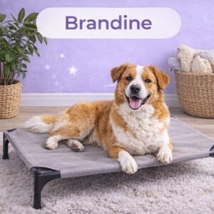 Brandine