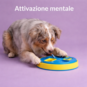 Attivazione mentale