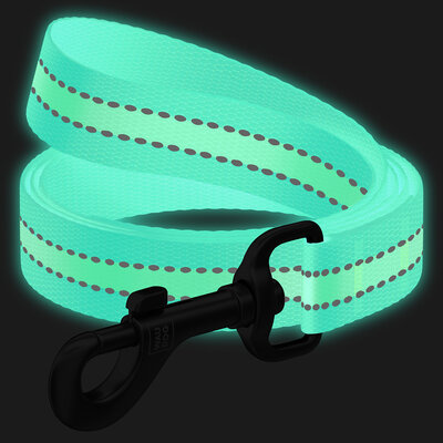 Guinzaglio per cani in nylon, fosforescente/riflettente 122 cm Azzurro - WAUDOG - immagine 4
