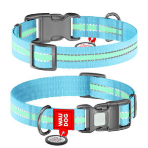 Collare per cani in nylon fosforescente/riflettente, chiusura in plastica Azzurro - WAUDOG